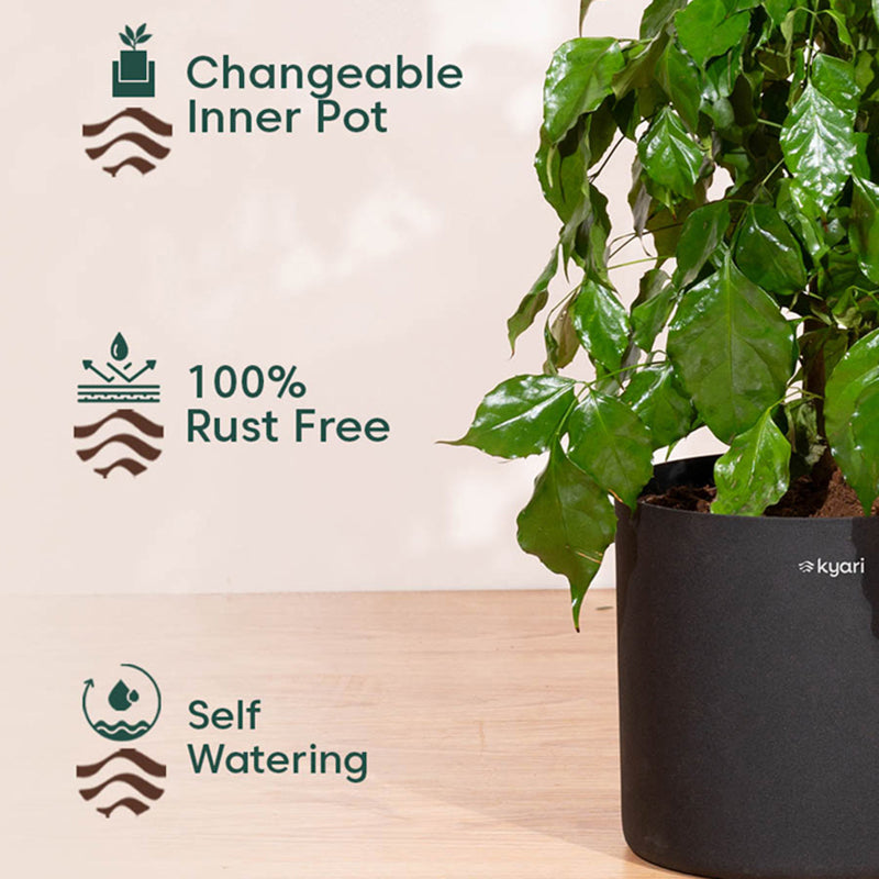 Kyari Pedicel Metal Planter media 3