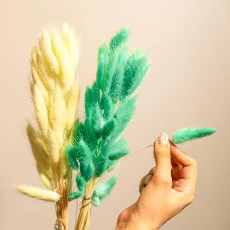 Naturally Dried Bunny Tail Stems (Mint Green) - Set Of Fifty media 4