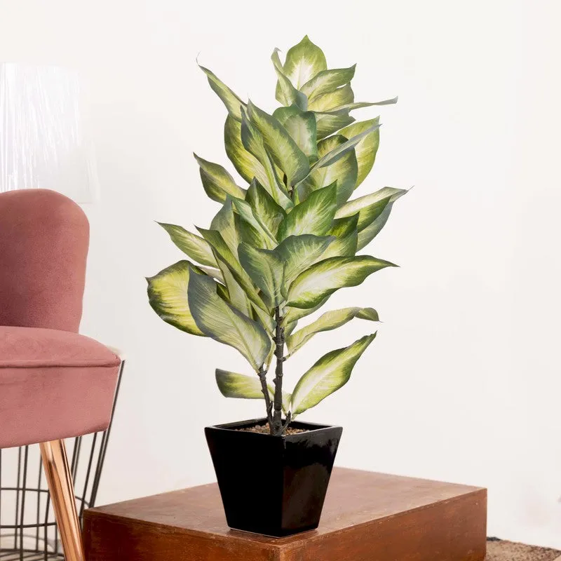 Artificial Golden Dieffenbachia Plant Without Pot - 2 Feet media 3