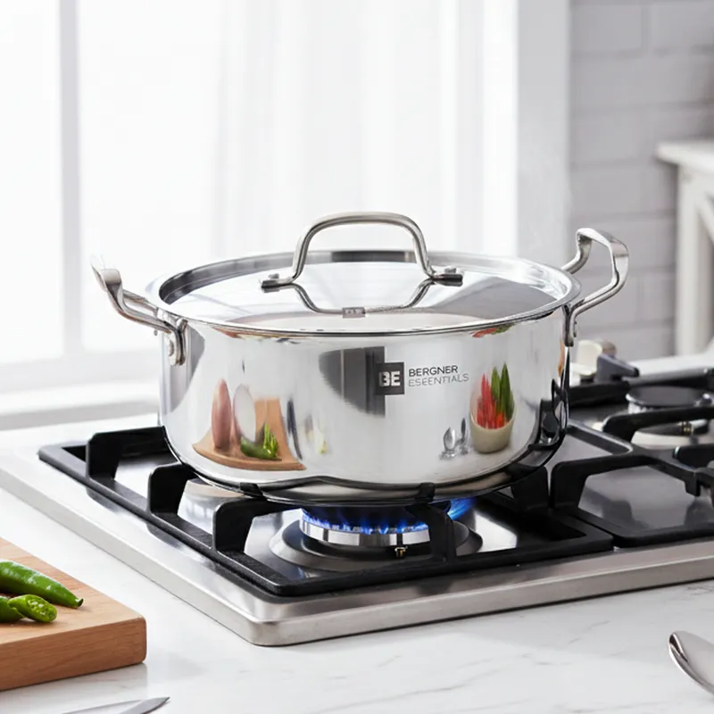 Bergner Stainless Steel Biryani Pot With Lid- 3900 ML media 1