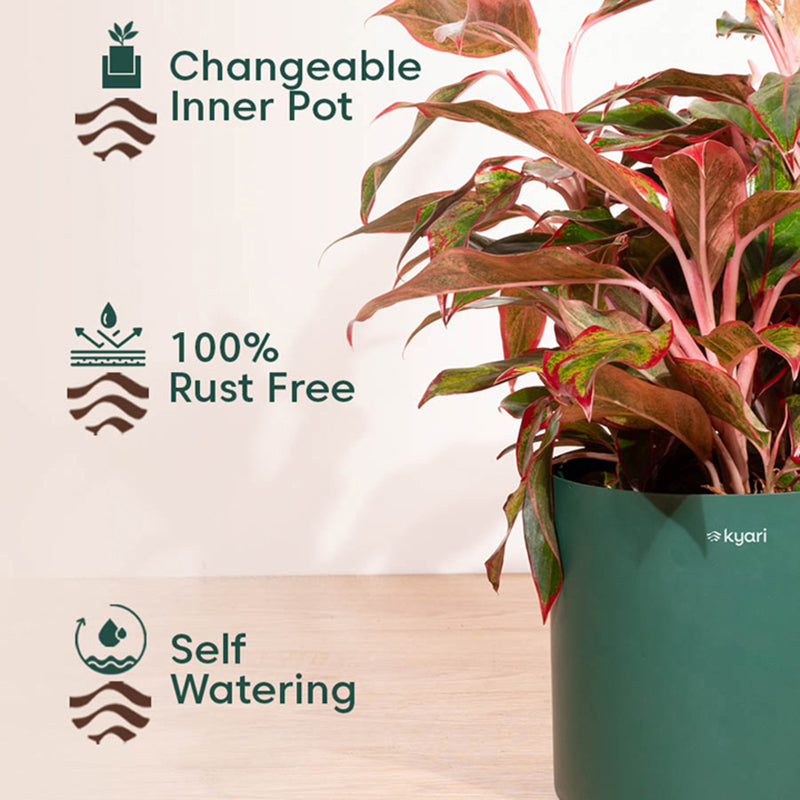 Kyari Zen Green Metal Planter media 4