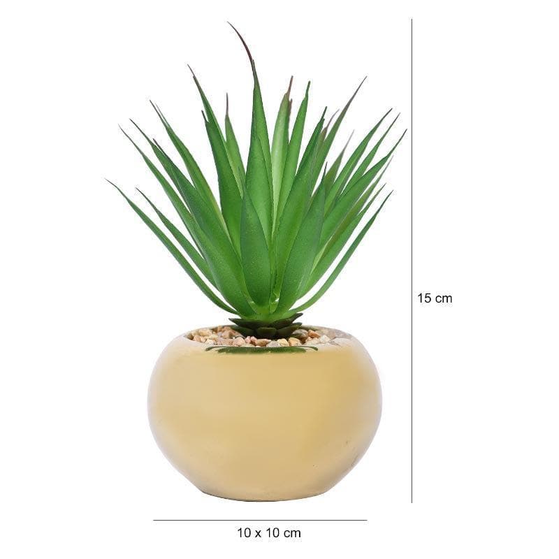Faux Agave In Round Ceramic Pot - 14.5 cms media 5