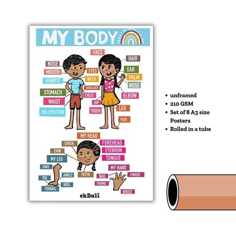 Fun Learn Wall Poster - Set of Eight media 5