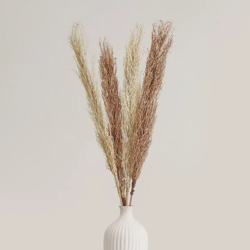 Lizzi Dried Mountain Millet Grass Stick - Set Of Two media 1