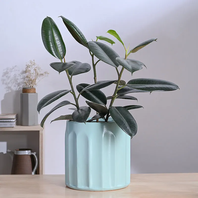 Ugaoo Straits Ceramic Planter - Green media 2