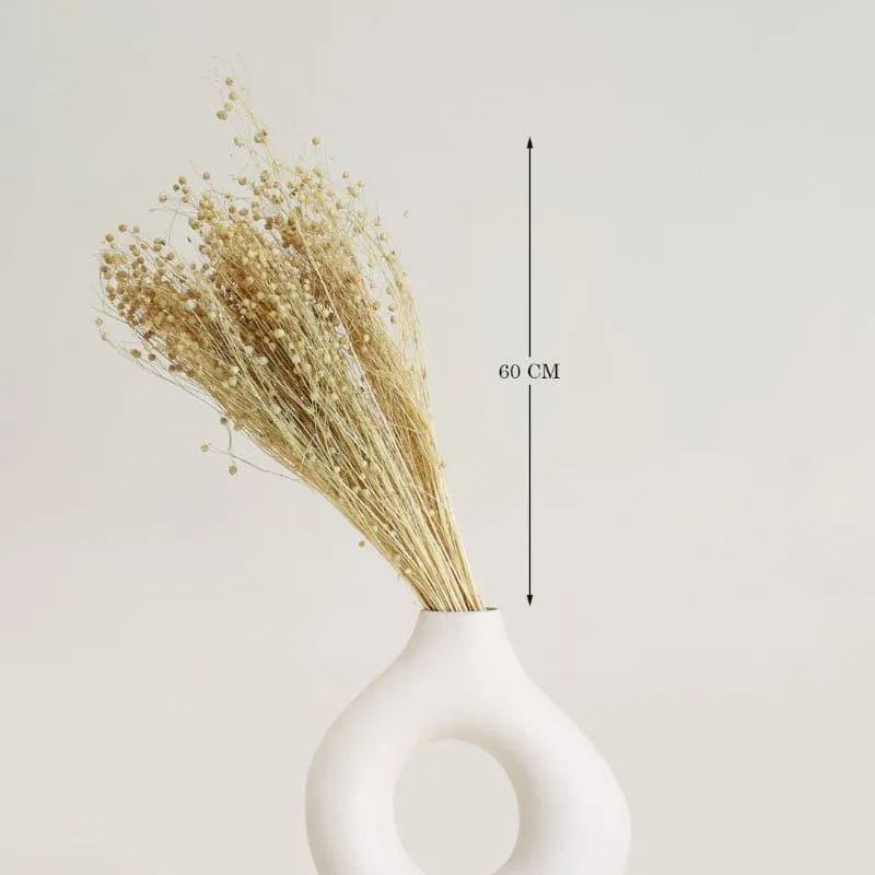 Loopa Millet Grass Dried Lino Bunch - Beige media 4