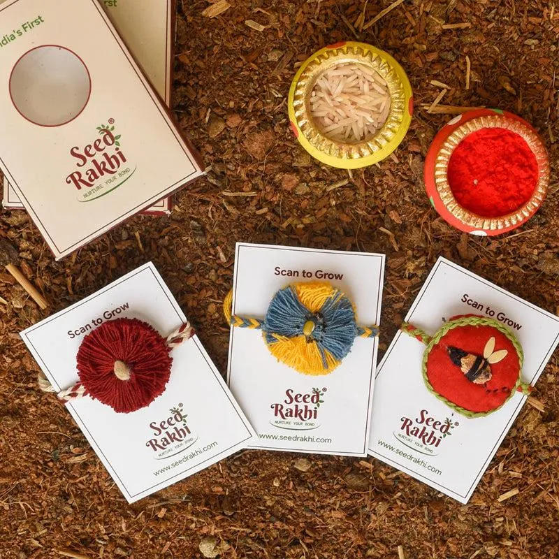 Bavya Seed Rakhi Gift Box media 1