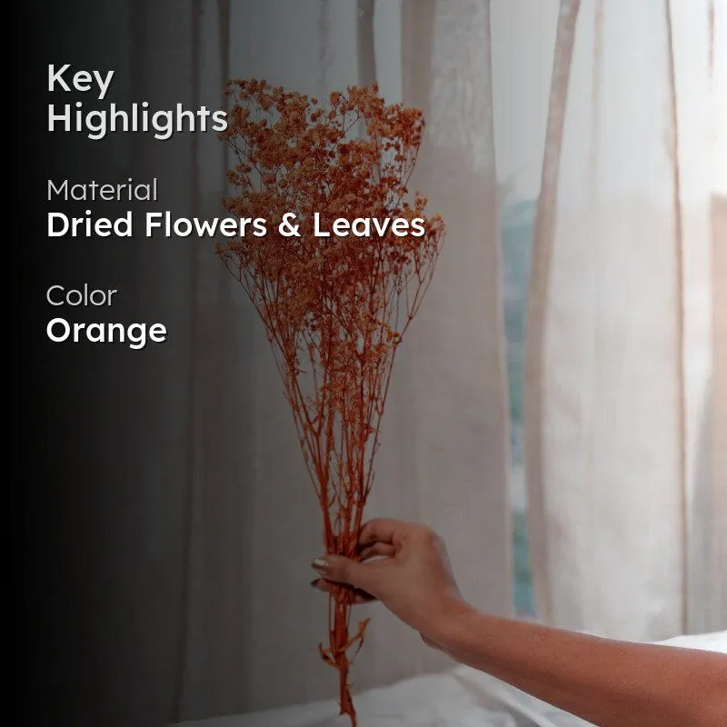 Naturally Dried Baby Breath Gypsophila Stems (Orange) - Set Of Five media 2