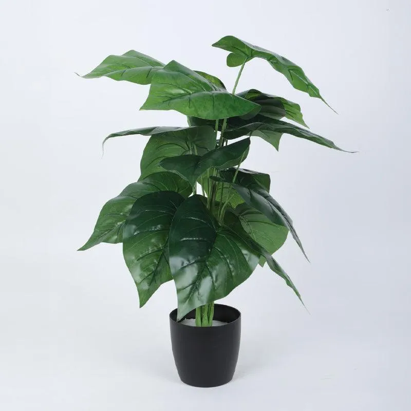 Faux Anthurium Silk Plant With Black Plastic Pot - 2.13 ft media 4