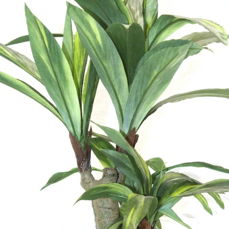 Artificial Green Dracaena Bonsai Plant With Black Fiber Pot - 1.8 Feet media 3