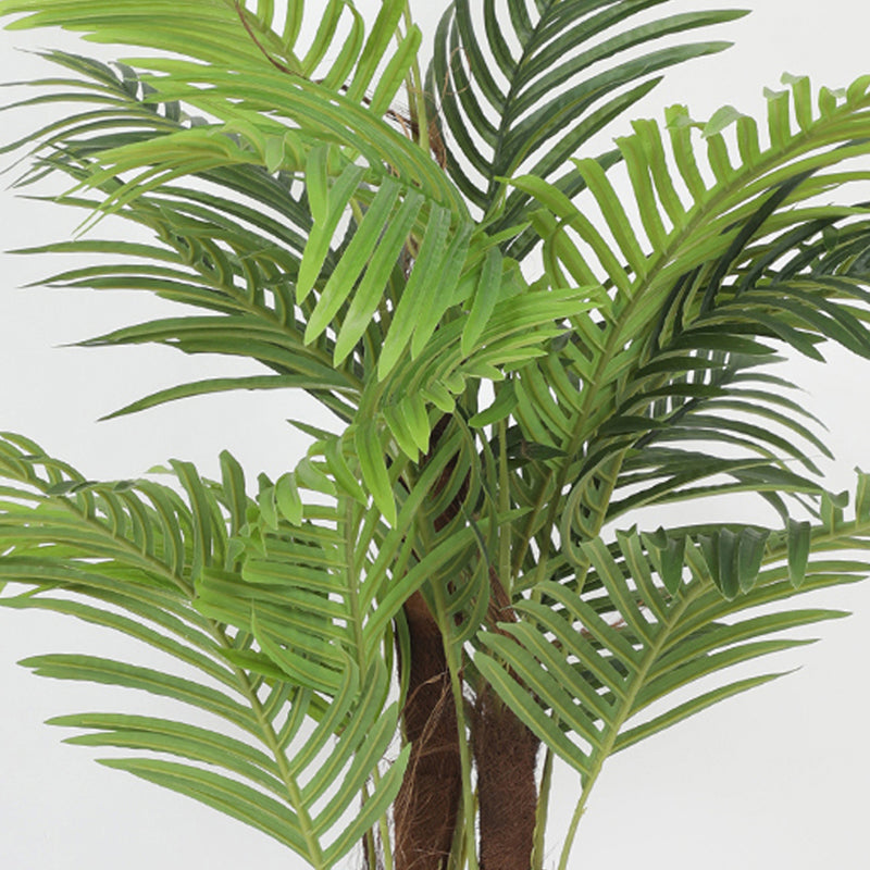 Palmine Artificial Areca Palm With Black Plastic Pot - 5 Feet media 4