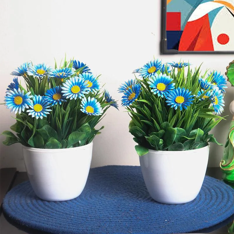 Faux Blue Daisy Plant With Black Plastic Pot - Set Of Two media 1