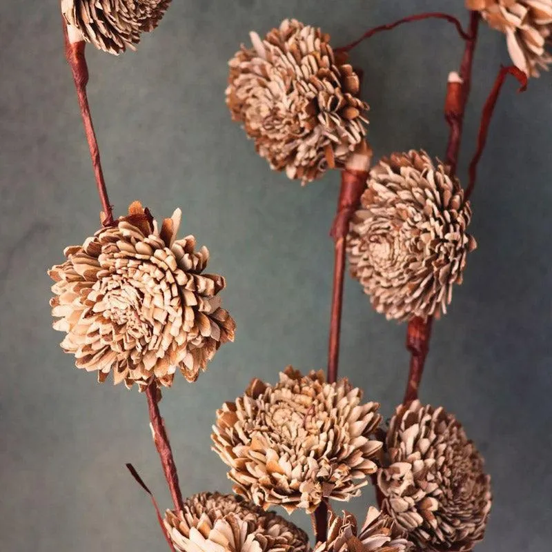 Nirca Chrysanthemums Stick - Set Of Five media 3