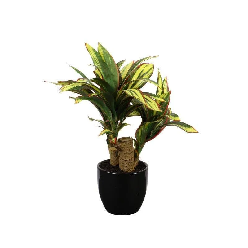 Faux Clathia Bonsai In Ceramic Pot - 35 cms media 3
