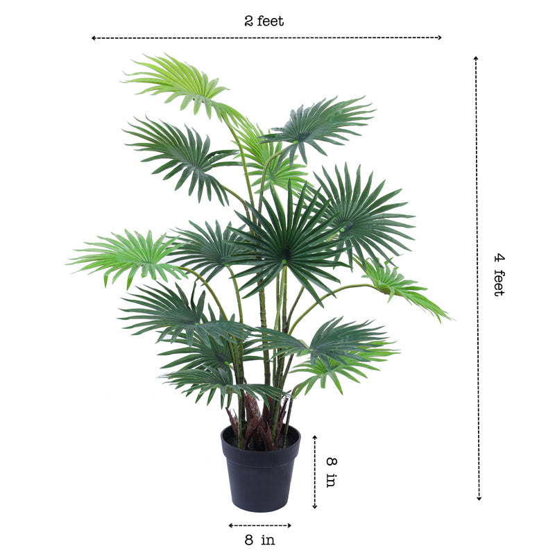 Artificial Realistic Fan Palm With Black Plastic Pot - 3.9 Feet media 9