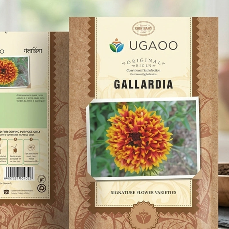 Ugaoo Gallardia Seeds media 4