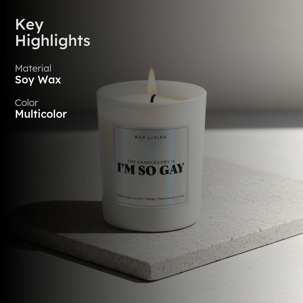 I'm So Gay Scented Candle media 2