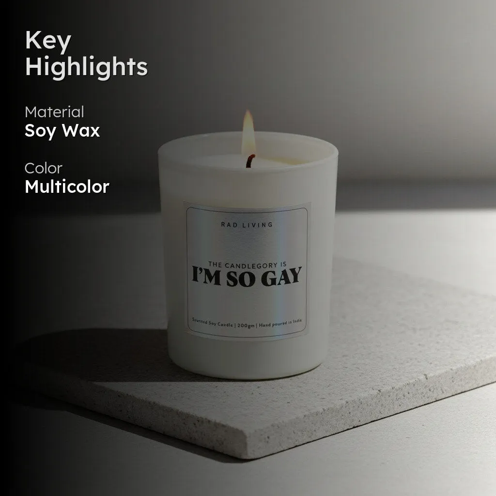 I'm So Gay Scented Candle media 2