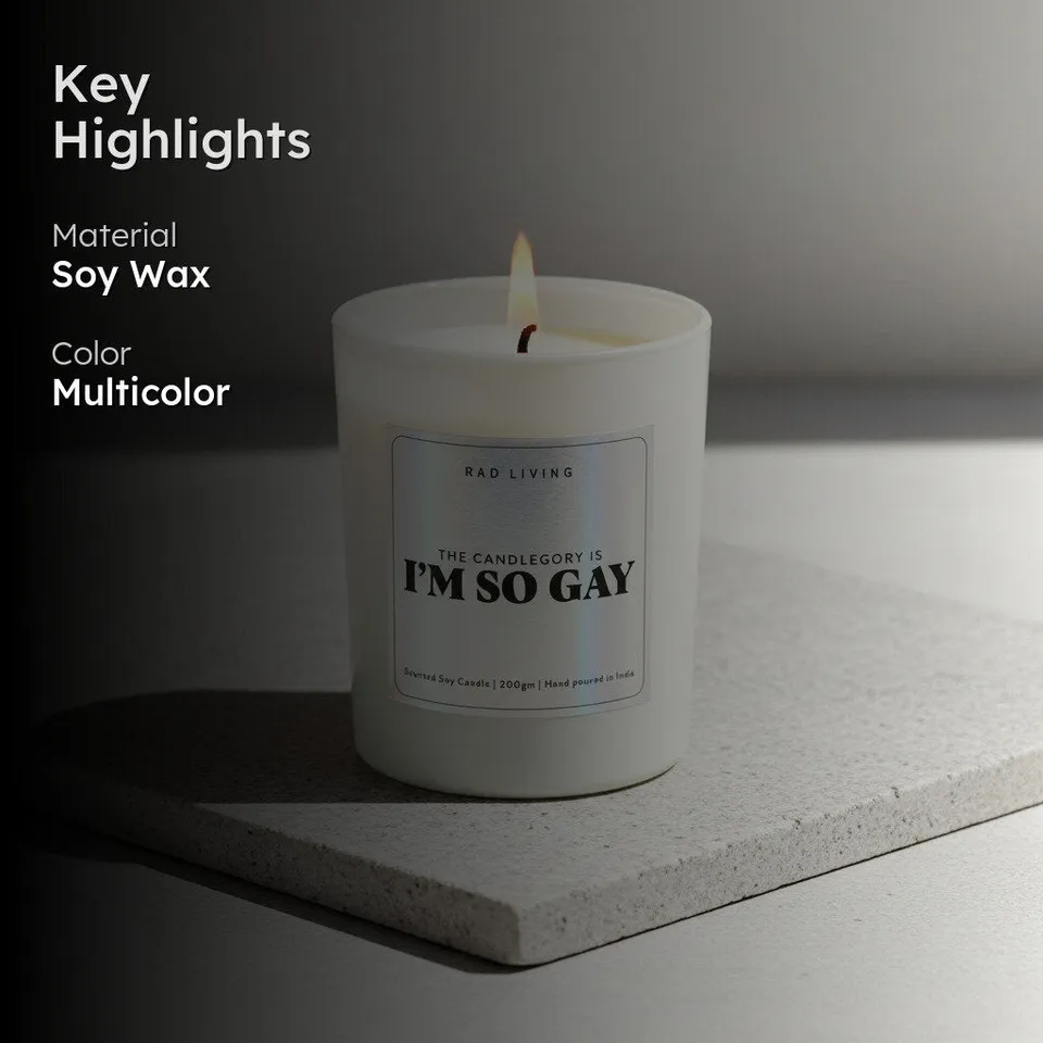 I'm So Gay Scented Candle media 2