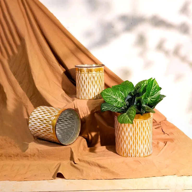 Aurora Metal Planters - Set Of Three media 4