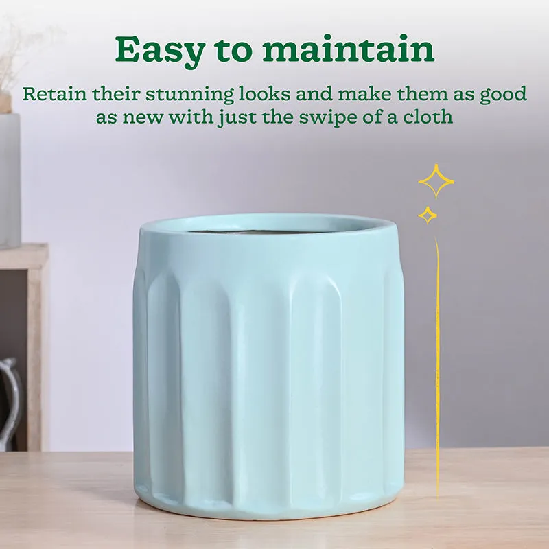 Ugaoo Straits Ceramic Planter - Green media 4