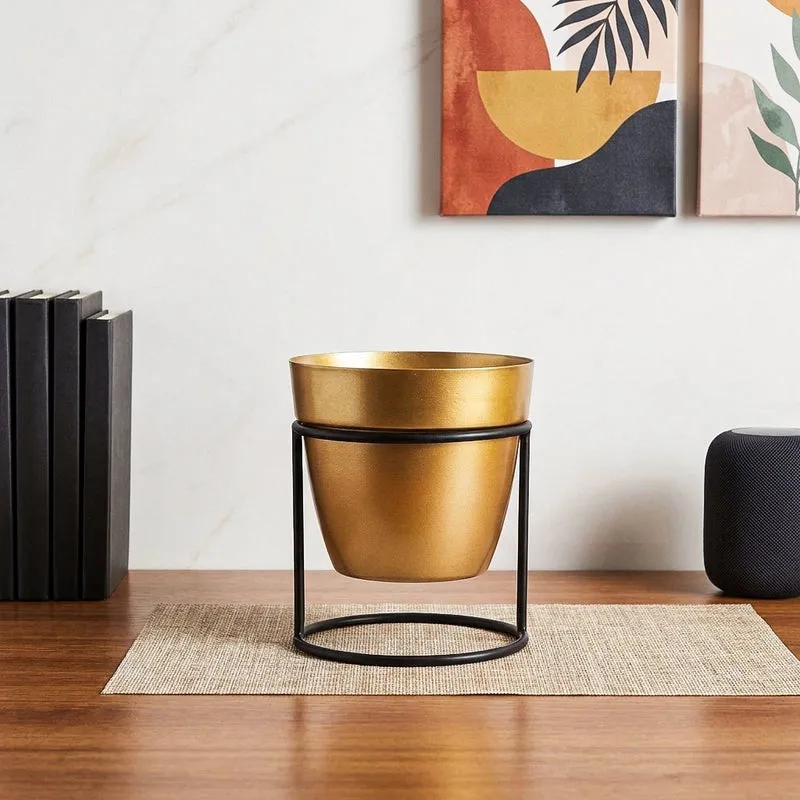 Zutoia Black Planter - White media 1