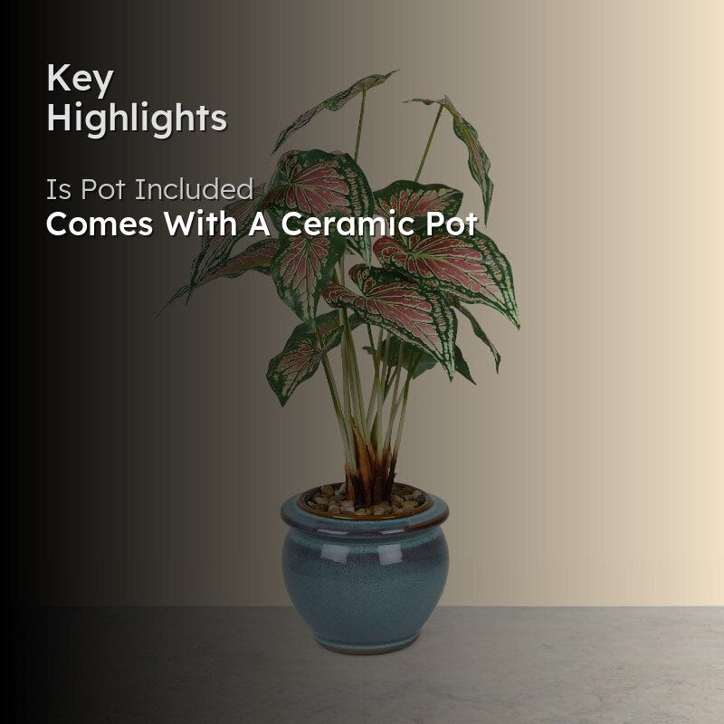 Faux Caladium Bonsai In Ceramic Pot (59 cms) - Turquoise media 2