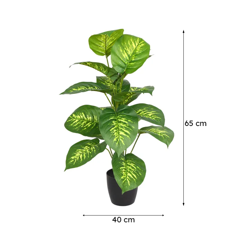 Differa Artificial Dieffenbachia Plant With Black Plastic Pot (2 Feet)  - Yellow, Green media 7