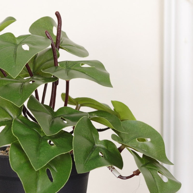 Artificial Philodendron Plant With Black Fiber Pot - 0.6 Feet media 6