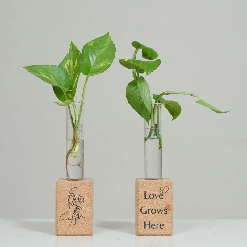 Inspire Cork Testube Planter media 3