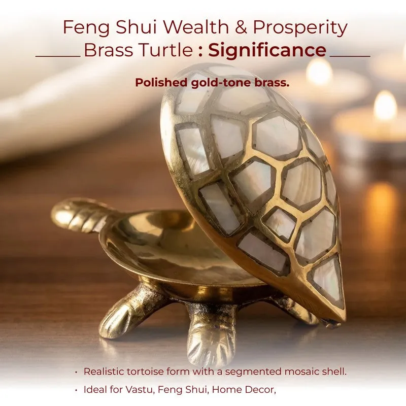Kurma Harmony Brass Turtle media 6