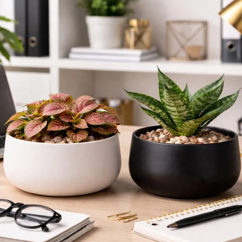 MinimalAura Pots & Planters (White, Black) - Set of Two media 5