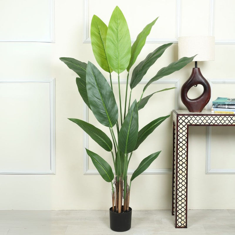 Artificial Strelitzia Plant With Black Fiber Pot - 4.6 Feet media 3
