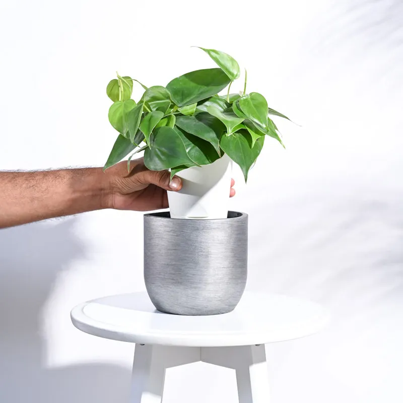 UGAOO Planter Ball Retro- Silver media 5