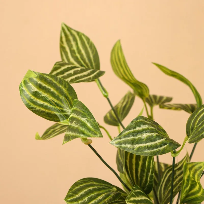 Artificial Fittonia Plant With Black Plastic Pot (0.8 Ft) - Set Of Two media 7