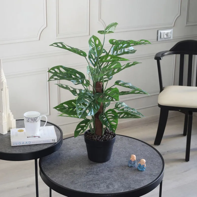 CalmRoot Artificial Plant With Black Plastic Pot - 2.0 ft media 4