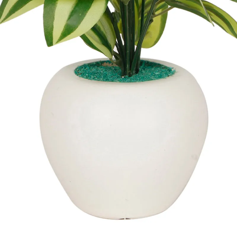 Draconis Artificial Plant With Black Plastic Pot - 1 Feet media 3