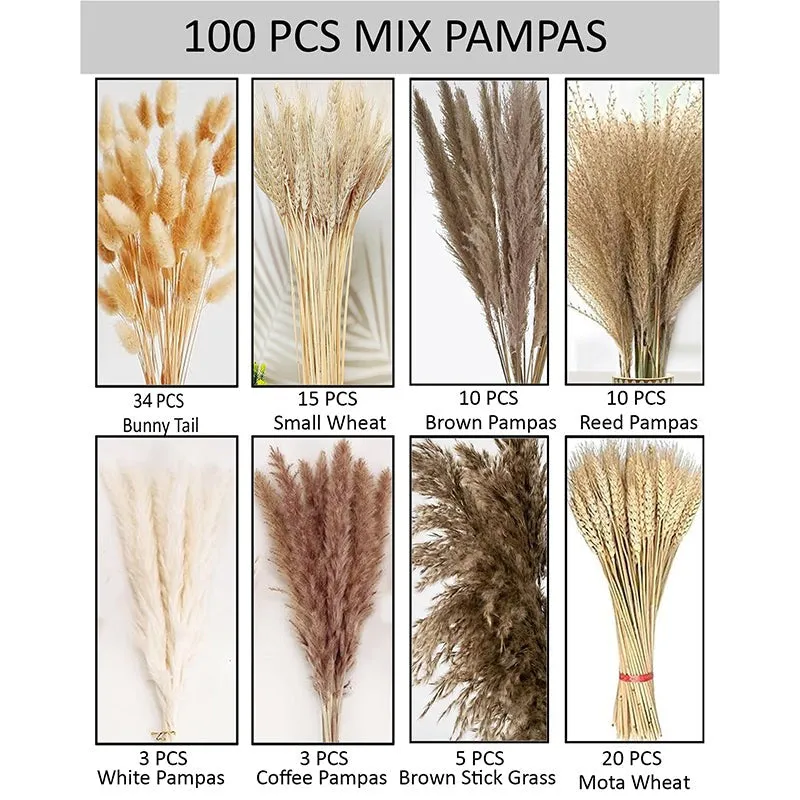 Bloom Theory Dried Flower Stems - Set of Hundred media 3
