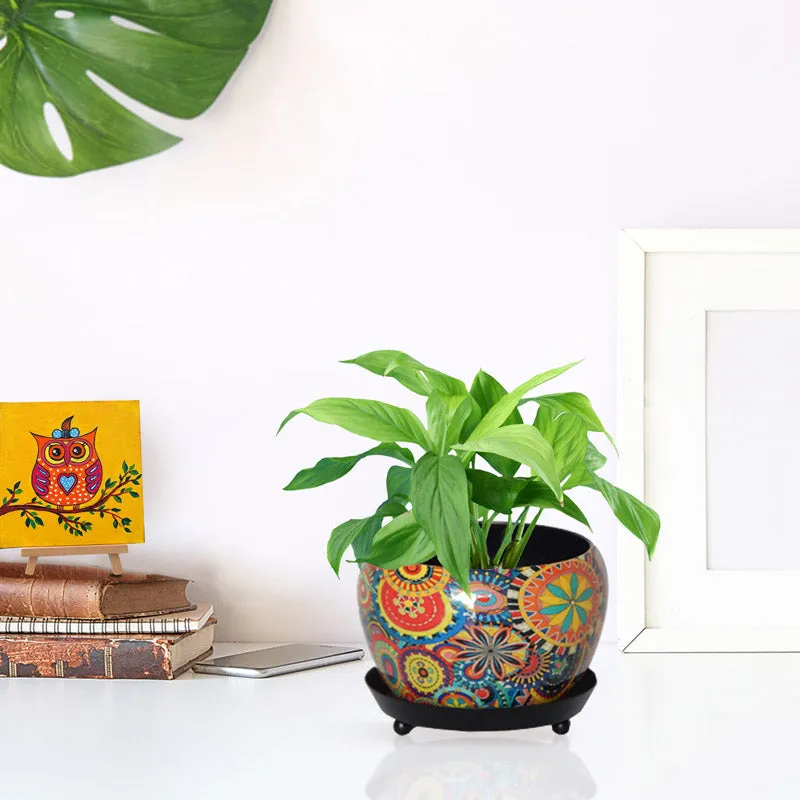 Druva Ethnic Planter With Plate media 5