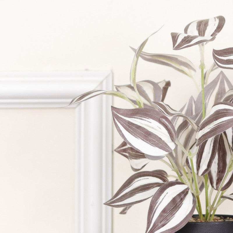 Artificial Wandering Dude Plant With Black Fiber Pot - 0.9 Feet media 6