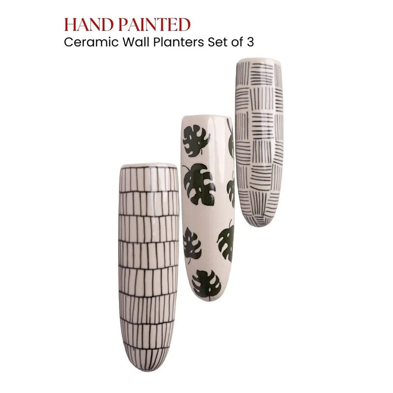 Zenvira Ceramic Planters - Set Of Three media 5