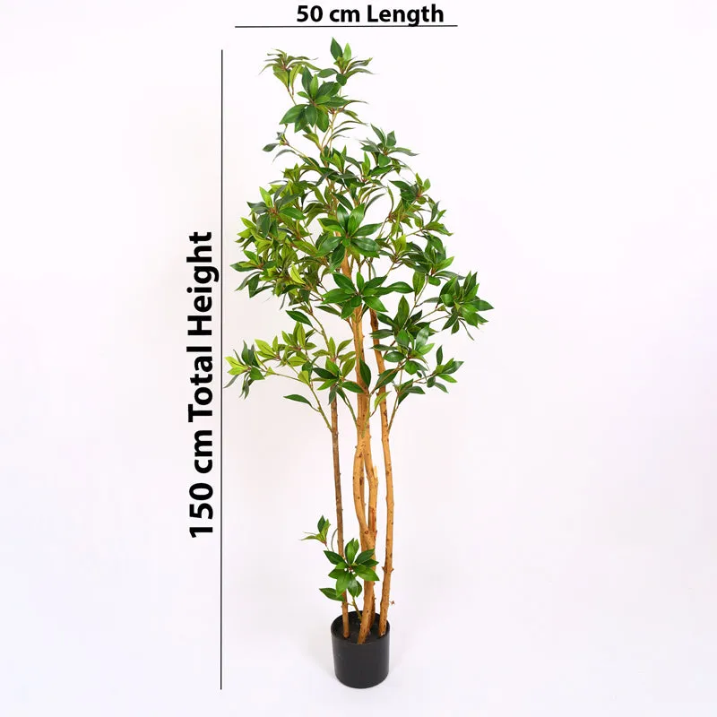Verdiq Artificial Ruscus With Black Plastic Pot - 5 Feet media 7