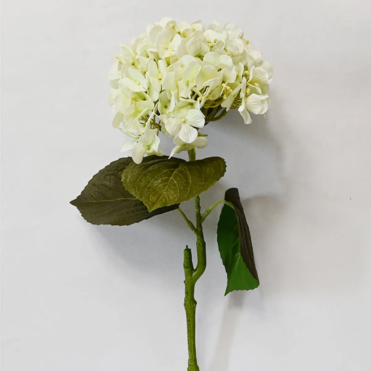 Close view of white hydrangea petals and green leaves on a single stem.