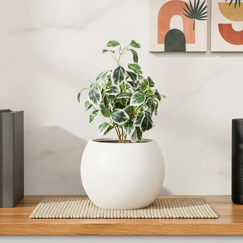 Artificial Pearls & Jade Pothos Plant With Black Fiber Pot - 1 Feet media 1
