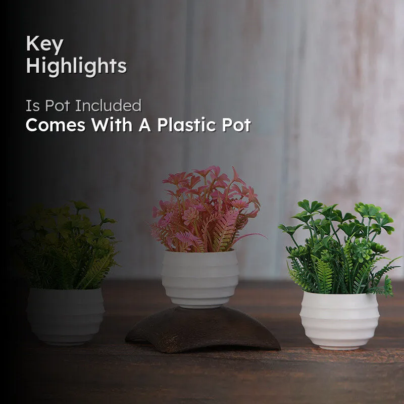 Eloise Artificial Plant With Black Plastic Pot - Set Of Three media 2