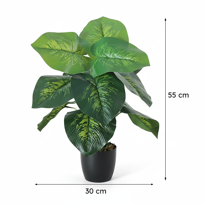 Faux Deco Dieffenbachia Silk Plant With Black Plastic Pot - 55 cms media 7