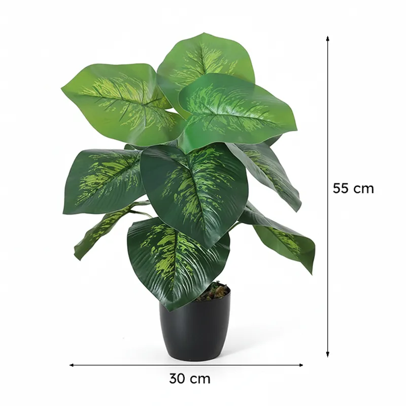 Faux Deco Dieffenbachia Silk Plant With Black Plastic Pot - 55 cms media 7