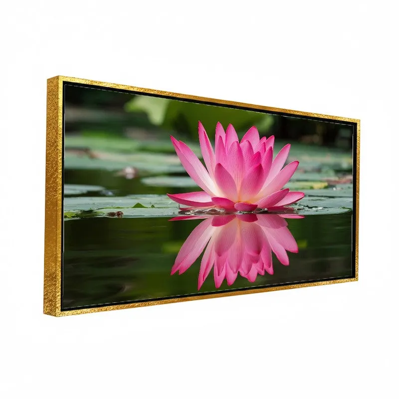 Lotus Petal Dream Wall Art media 5