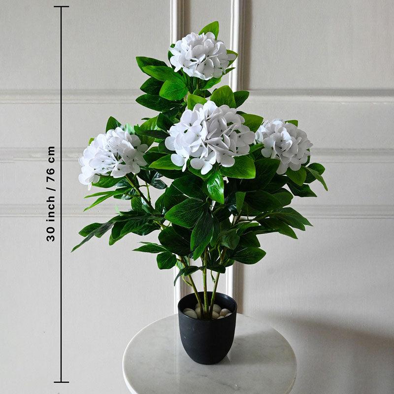 Faux Everlasting Hydrangea Plant With Black Plastic Pot (Pale White) - 76 cm (2.5 ft) media 5
