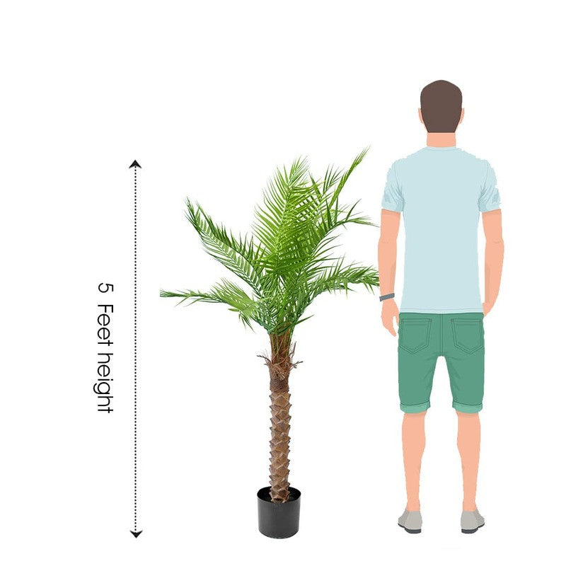 Verde Artificial Palm Plant With Black Plastic Pot - 5 Feet media 7
